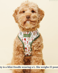 Lucy & Co. - The Jingle Bells Reversible Harness