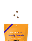 Bocce's Batnip Crunchy Cat Treats