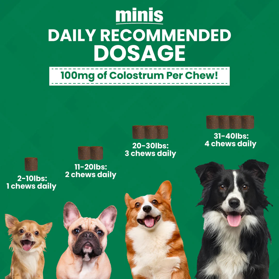 Progility Allergy Relief - Minis | The Modern Dog Company Store