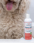 Wondercide Flea & Tick Shampoo for Dogs + Cats with Natural Essential Oils