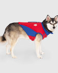 Canada Pooch High Tide Life Jacket