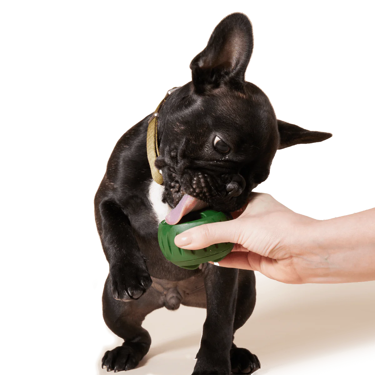 Woof Dog Products - The Amazing Pupsicle