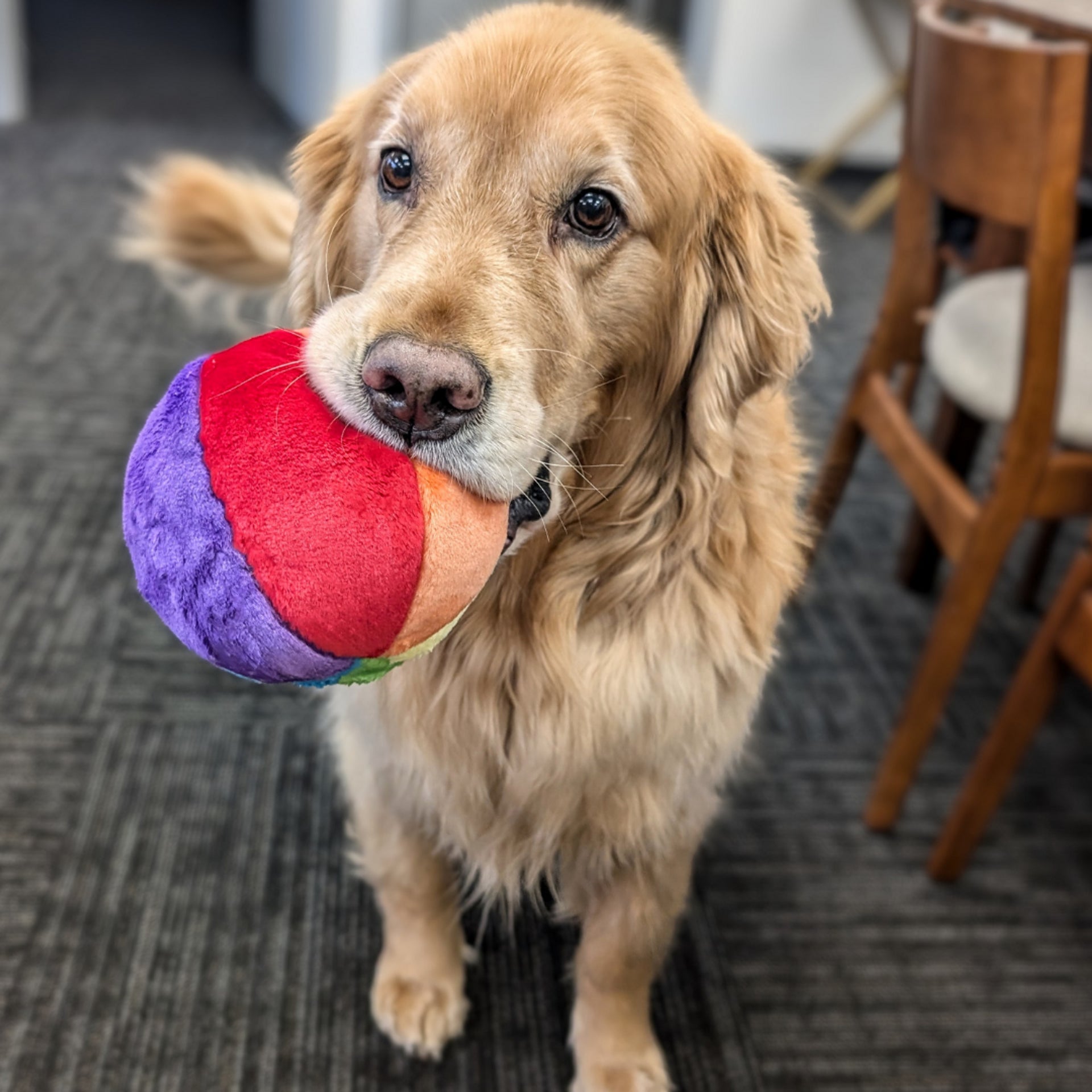 Fluff &amp; Tuff Mini Beach Ball