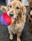 Fluff & Tuff Mini Beach Ball