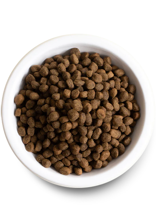 Open Farm - Salmon & Sweet Potato Grain Free Puppy Food