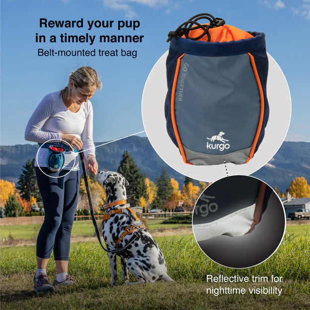 Kurgo Go Stuff It Treat Bag