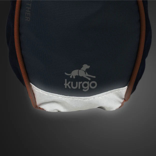 Kurgo Go Stuff It Treat Bag