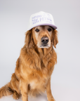 Professional Dog Petter Hat - Two Toned