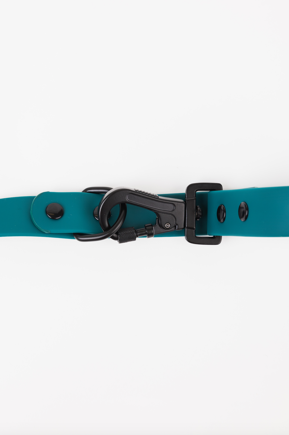 The Modern Dog Company - Forest Green Adjustable Leash