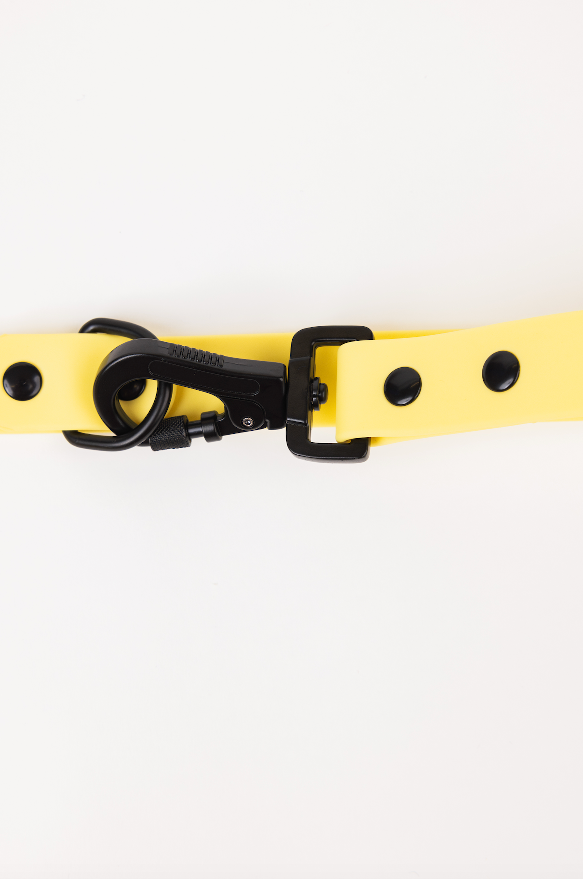 The Modern Dog Company - Daffodil Yellow Adjustable Leash