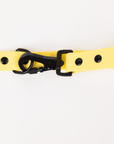 The Modern Dog Company - Daffodil Yellow Adjustable Leash