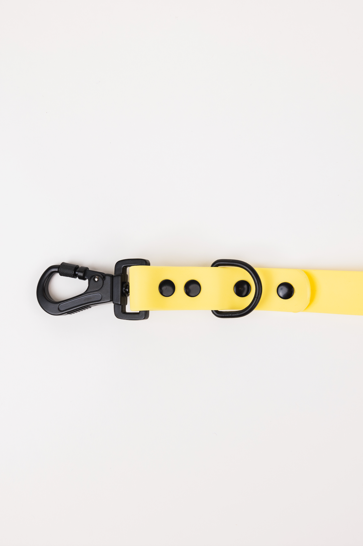 The Modern Dog Company - Daffodil Yellow Adjustable Leash