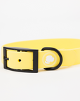 The Modern Dog Company - Daffodil Yellow Collar (Weather + Odor Resistant)