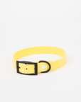 The Modern Dog Company - Daffodil Yellow Collar (Weather + Odor Resistant)