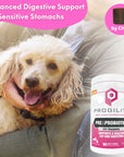 Progility Pre & Probiotic Soft Chew Supplement