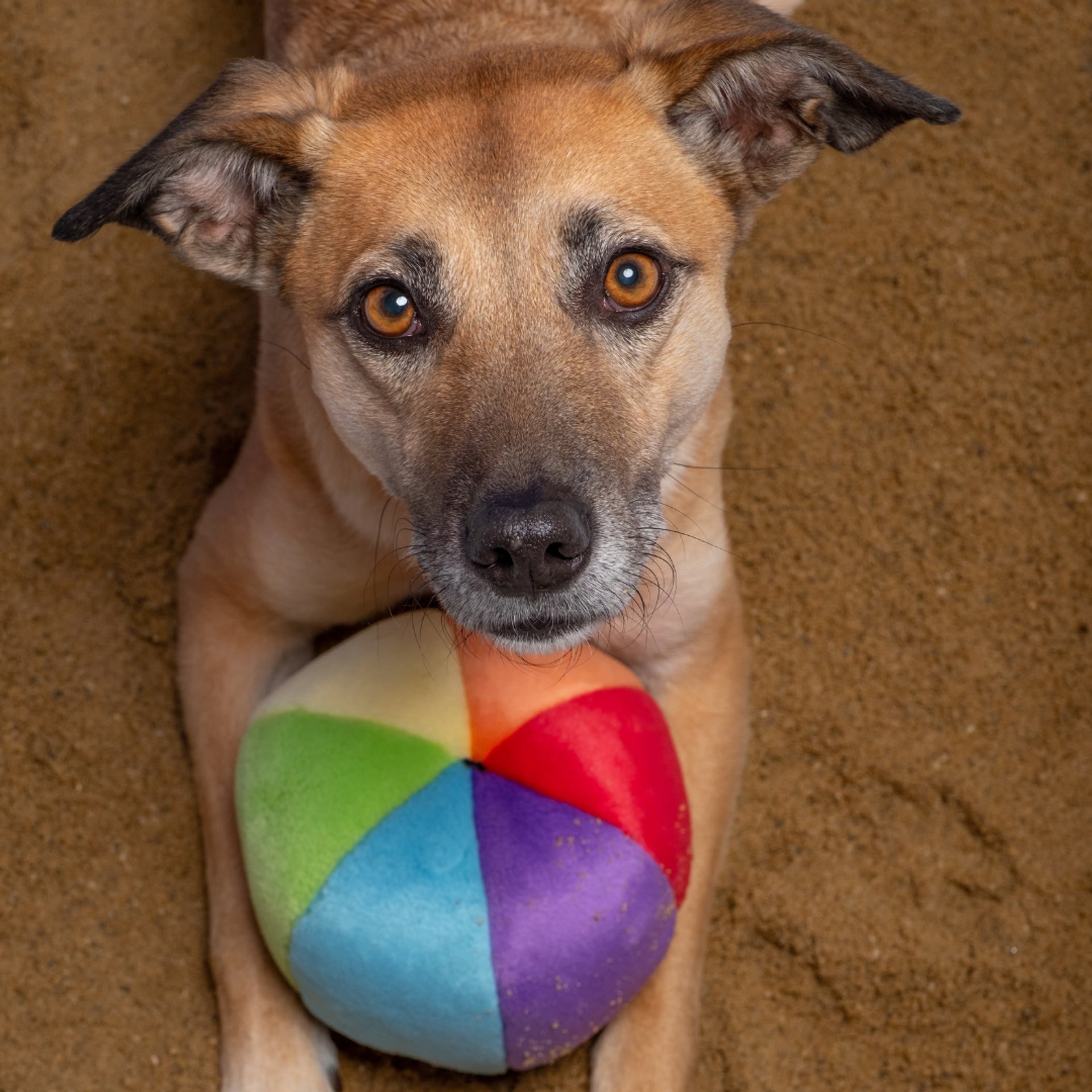 Fluff &amp; Tuff Mini Beach Ball