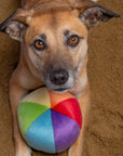 Fluff & Tuff Mini Beach Ball