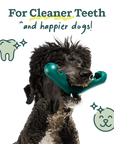 Woof Bite-n-Brush Dental Toy