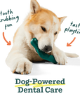 Woof Bite-n-Brush Dental Toy