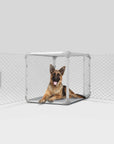 Diggs - Evolv Dog Crate: Ash / 36"