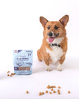 Polkadog - Clam Chowda Bits - 7oz - Dog Treats