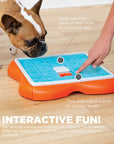 Outward Hound Challenge Slider Interactive Treat Puzzle Dog Toy, Multi