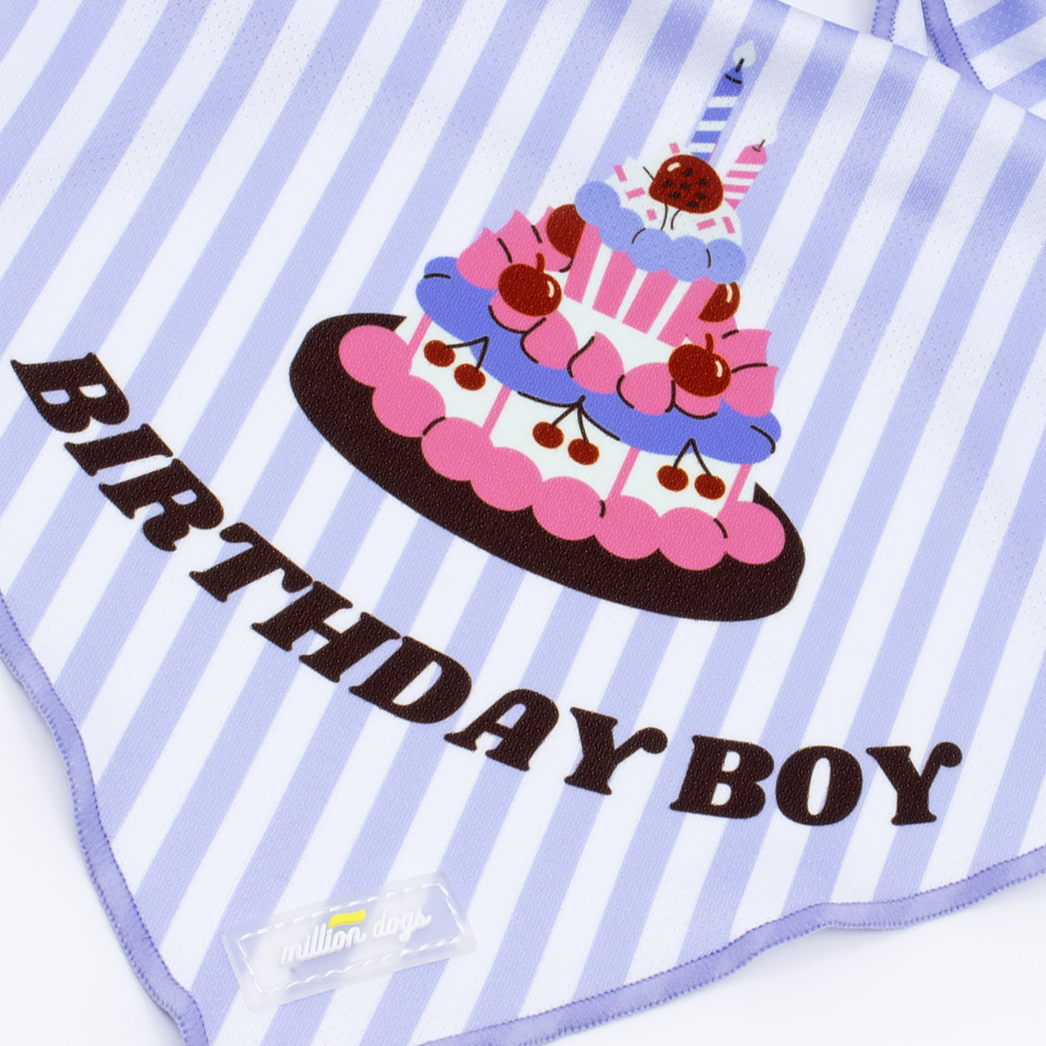 Million Dogs - Cooling Dog Bandana - Birthday Boy