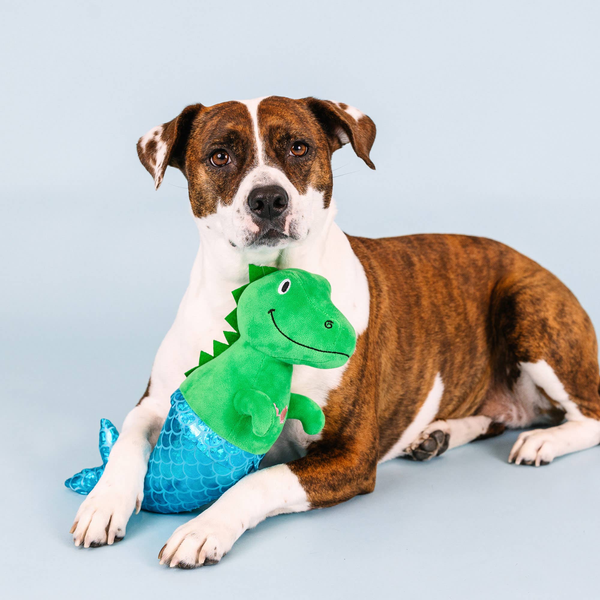 Petshop by Fringe Studio - MER-REX PLUSH DOG TOY