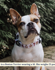 Lucy & Co. - The Jingle Bells Collar