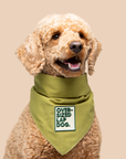 Scout's Honour - Oversized Lap Dog iron-on patch for dogs