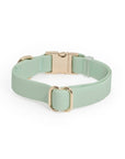 Shop Sunny Tails - Pistachio Green Waterproof Dog Collar