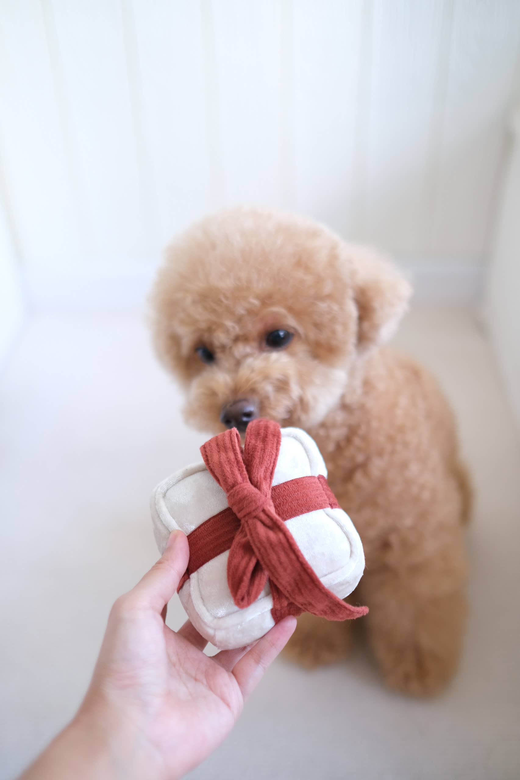 Lambwolf Collective - HOLIDAY BOX | CHRISTMAS DOG TOY: Pine