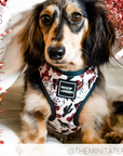 WOOF+WEEN - Adjustable Harness - SANTA PAWS