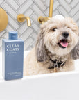 Clean Coats - Dog Shampoo 2 in1 For Itching, Conditioning and Smelly Dogs