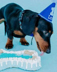 Dog Cake Bakery LLC - Dog Cake | Dog Birthday Cakes | Birthday | Bone Cake - Tan