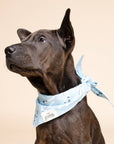 The Paws - Ski Winter Dog Bandana