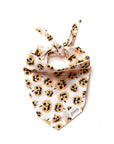 The Paws - Pumpkin Dog Halloween Bandana