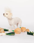 the furryfolks - Green Onion Nosework Toy