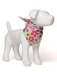 The Paws - All Smiles Dog Bandana