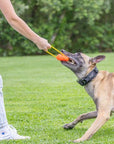 Project Hive Hive Zoomer Dog Toy Launcher & Looped Ball Combo Pack