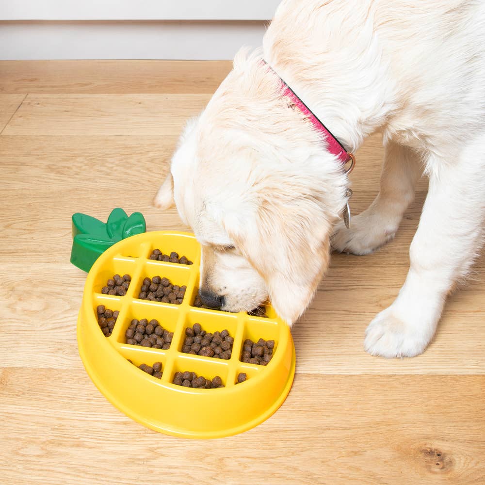 ZippyPaws - Happy Bowls -Pineapple - Dog Bowl