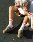 Good Thomas - Dog Friendly Sock