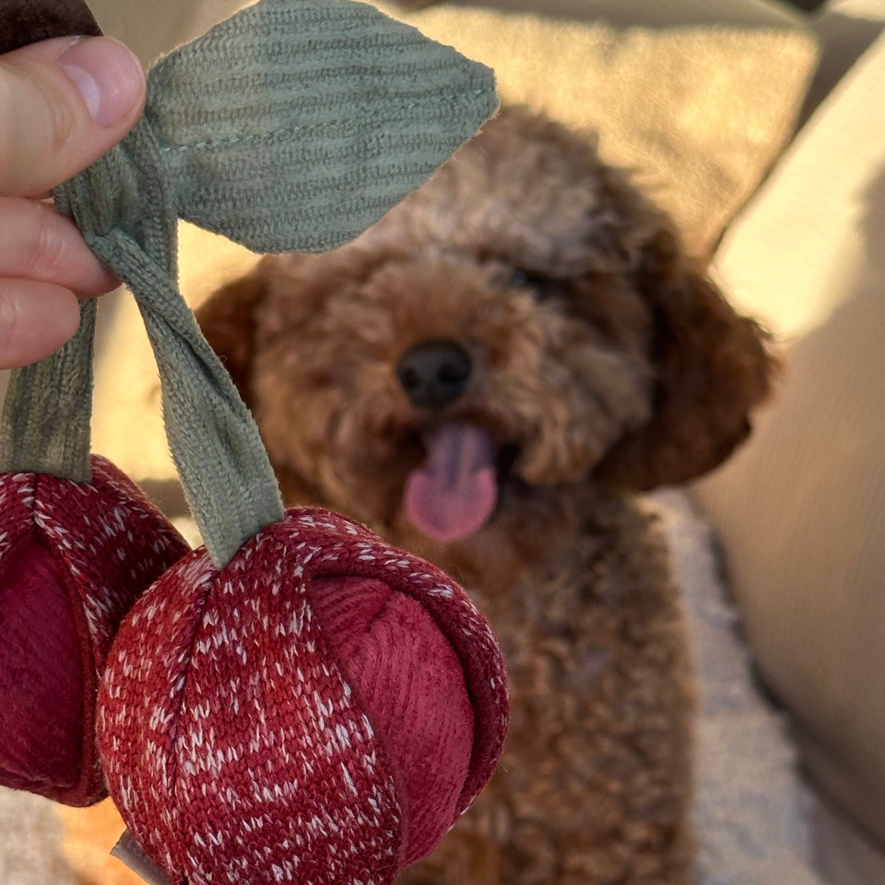 Lambwolf Collective - CHERRY POP//ENRICHMENT DOG TOY