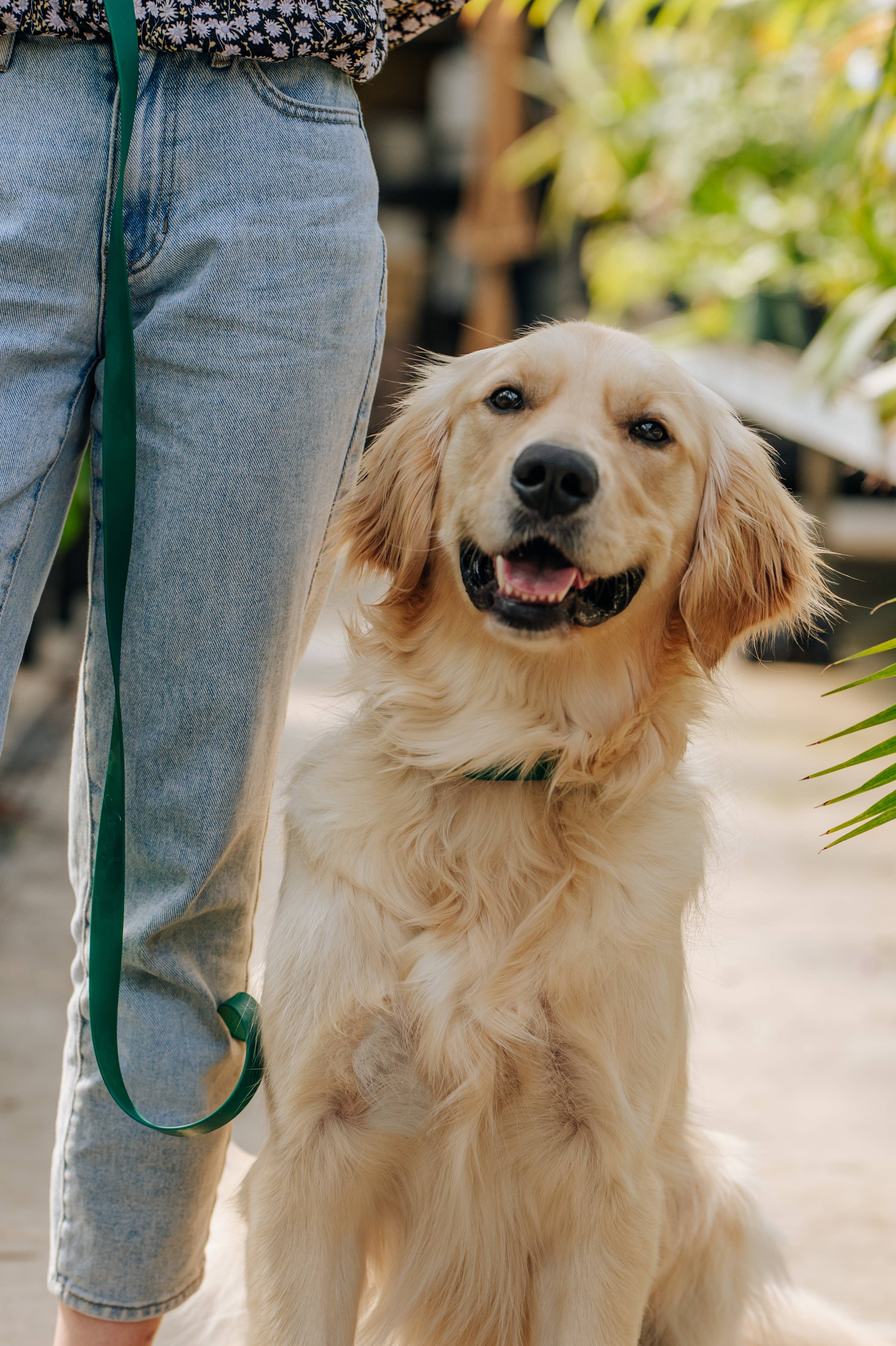 Shop Sunny Tails - Ember Black 4-in-1 Convertible Hands Free Wide Dog Leash