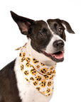 The Paws - Pumpkin Dog Halloween Bandana