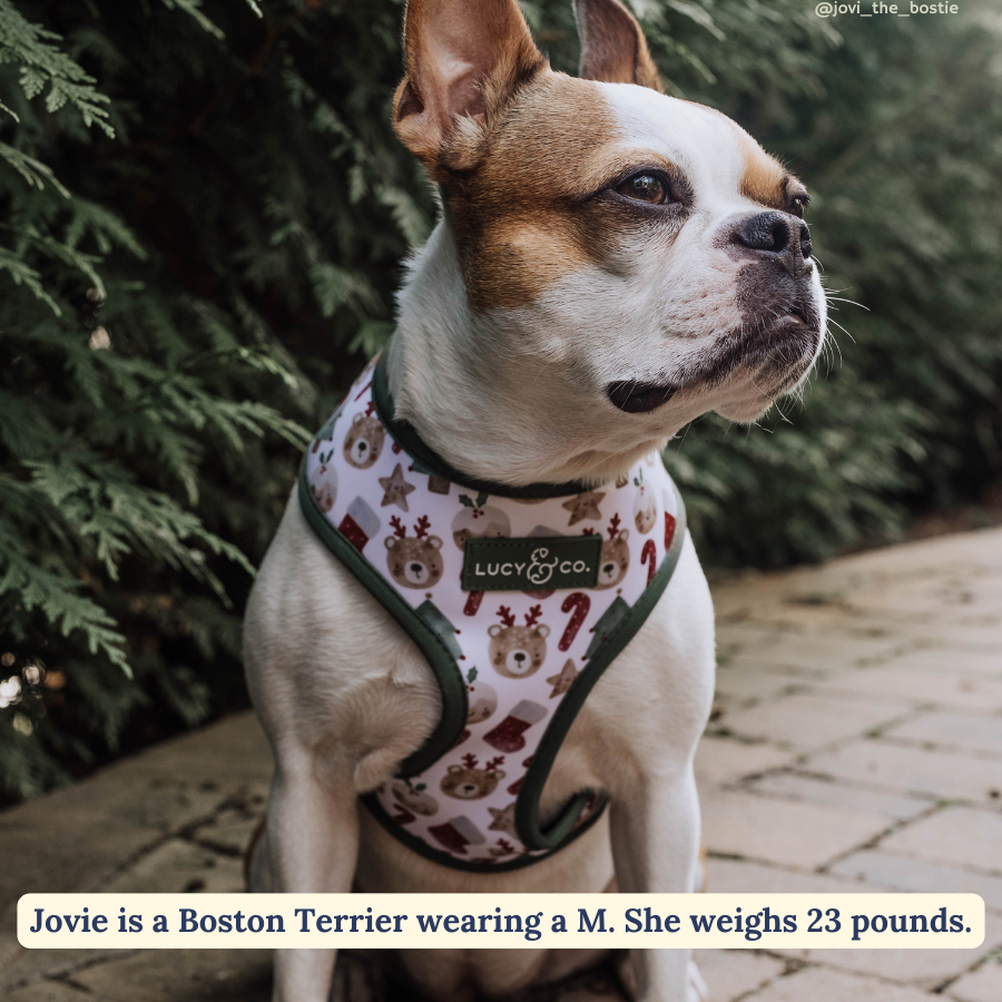 Lucy & Co. - The Jingle Bells Reversible Harness