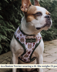 Lucy & Co. - The Jingle Bells Reversible Harness