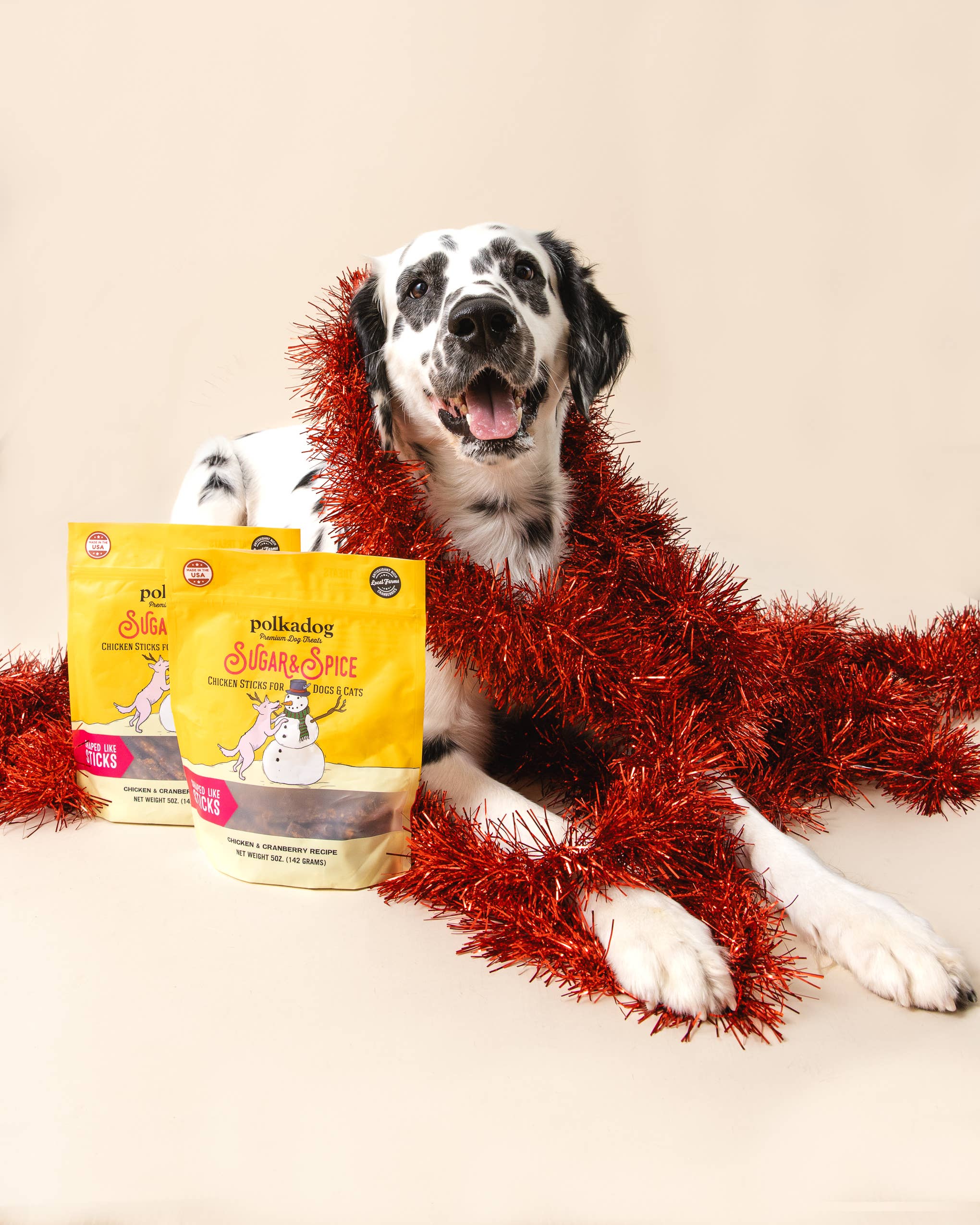 Polka Dog Holiday Pouch: Sugar & Spice (Chicken & Cranberry) - 5oz