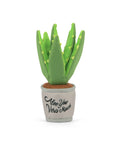 P.L.A.Y. Pet Lifestyle and You - Blooming Buddies - Aloe-ve You Plant