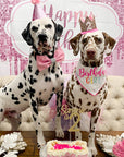 Dog Cake Bakery LLC - Dog Cake | Dog Birthday Cakes | Birthday | Bone Cake | Pink